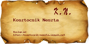 Kosztocsik Neszta névjegykártya